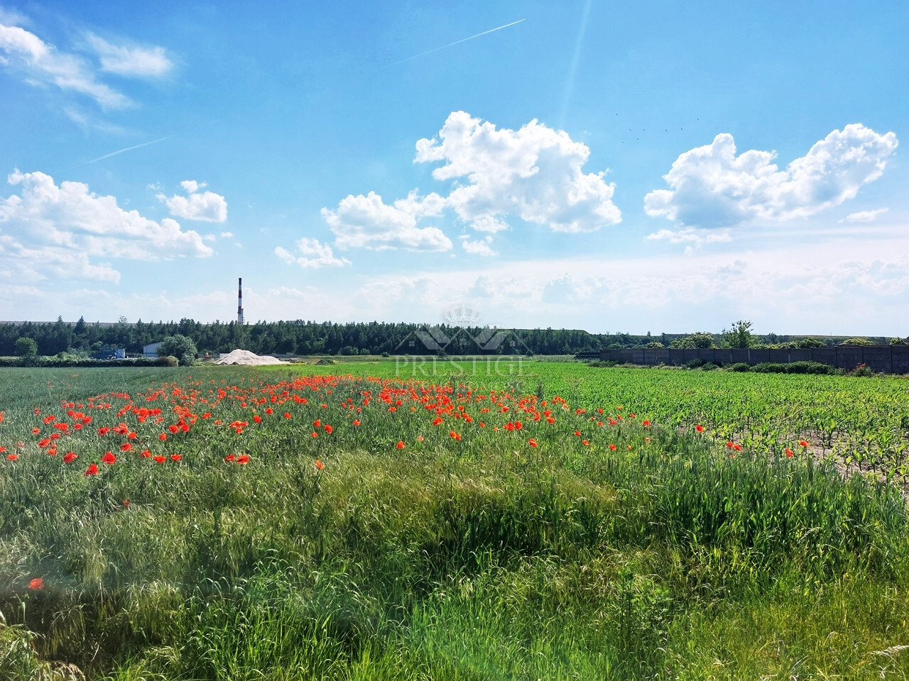 Działka Sprzedaż Inowrocław 6