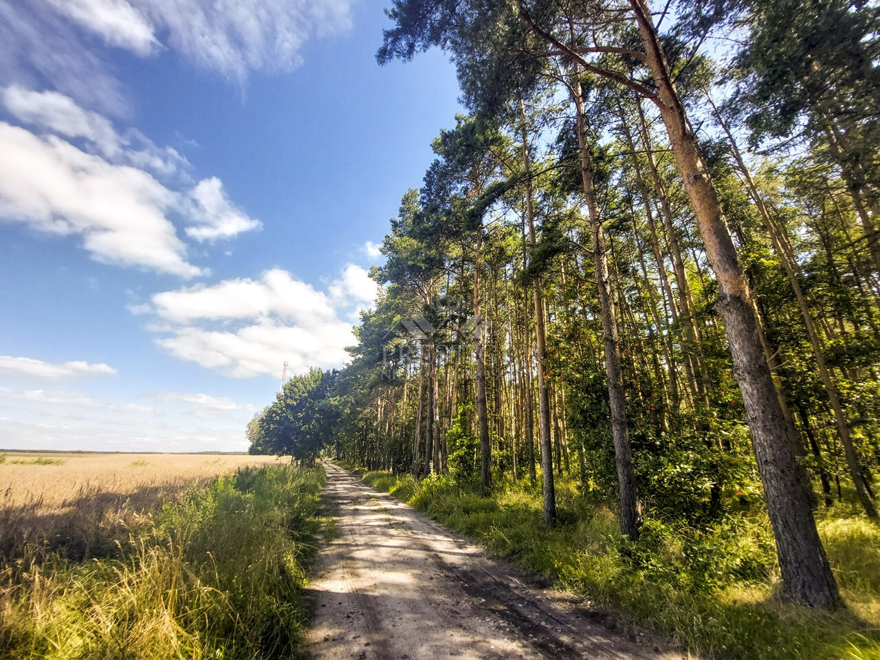 Działka Sprzedaż Ostrowo