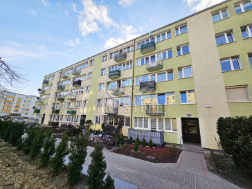 Mieszkanie Wynajem Inowrocław Zygmunta Wilkońskiego