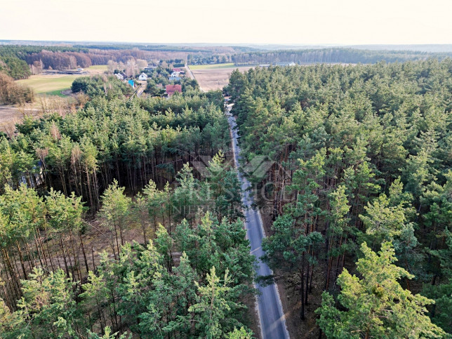 Działka Sprzedaż Laski Wielkie 4