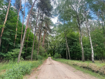 Działka Sprzedaż Niemojewo