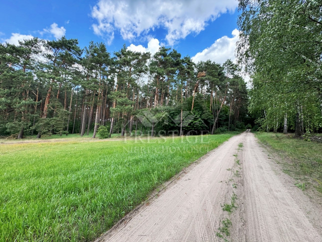 Działka Sprzedaż Niemojewo 4