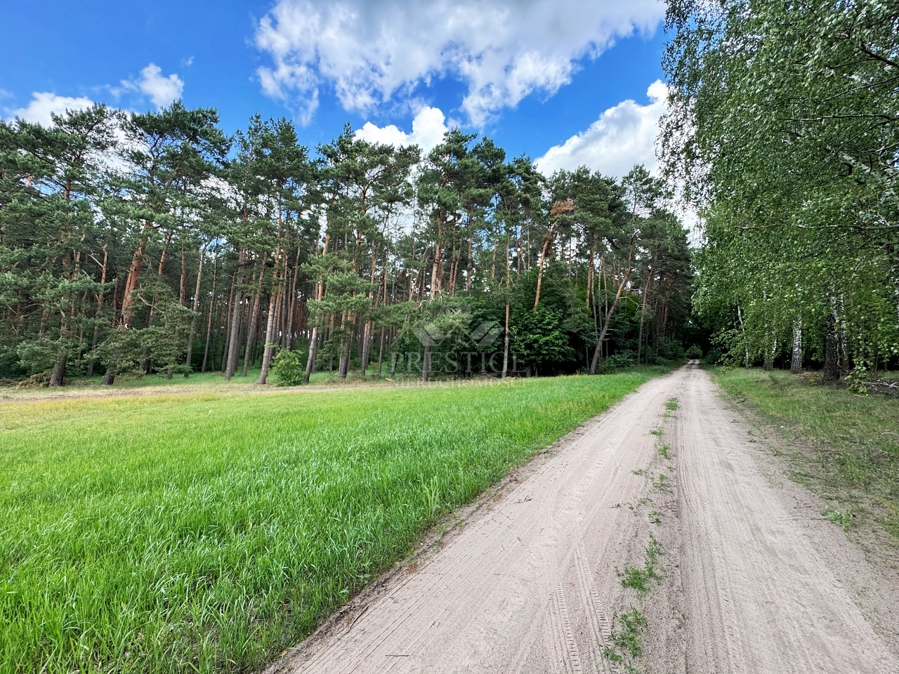Działka Sprzedaż Niemojewo