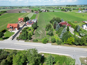 Działka Sprzedaż Kruszwica