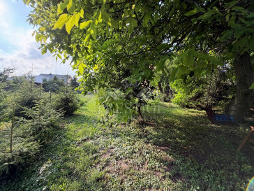 Dom Sprzedaż Kwieciszewo
