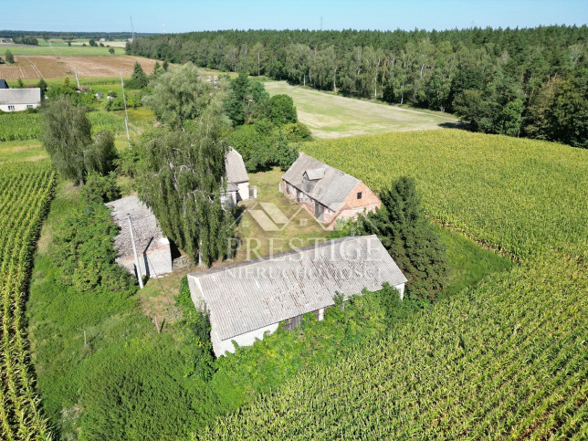Dom Sprzedaż Żółwiny 5