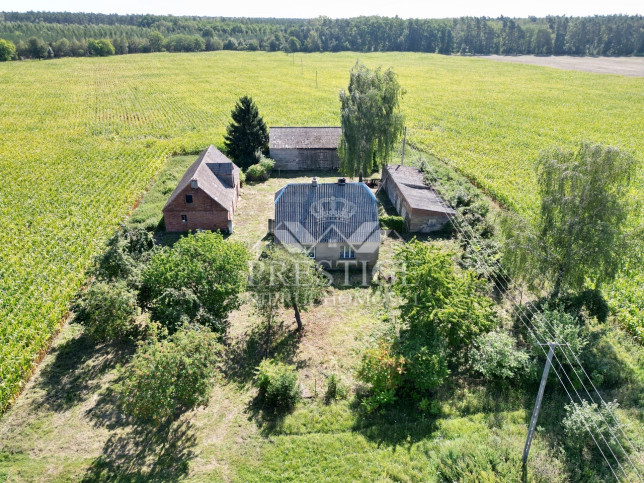 Dom Sprzedaż Żółwiny 2
