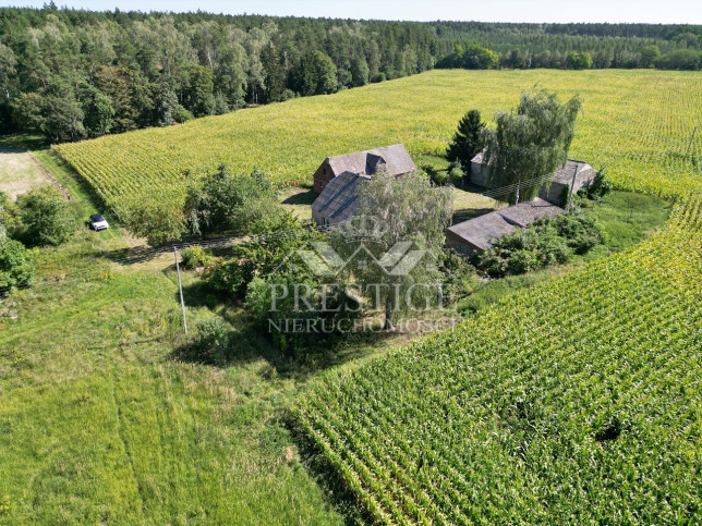 Dom Sprzedaż Żółwiny 3